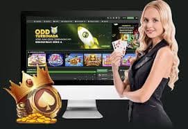 8kbet567